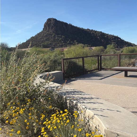 Magnolia Pearl Dresses & Skirts - SOLD